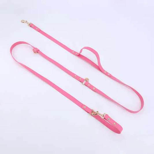 Hands Free Dog Leash